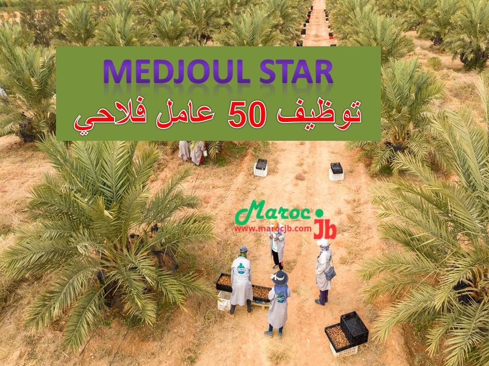 وظائف الرشيدية و فرص عمل بمدينة الراشيدية